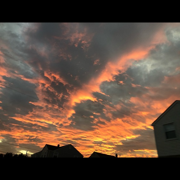 Meet your Posher, Reagan - Picture 1 of 1